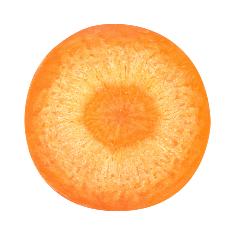 slice of carrot